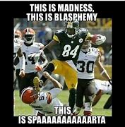 Image result for Steelers at Home Funny Memes