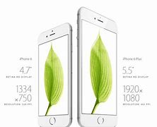 Image result for Pixel 7 vs iPhone 13