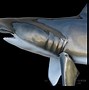 Image result for Shark Mount with Tongue