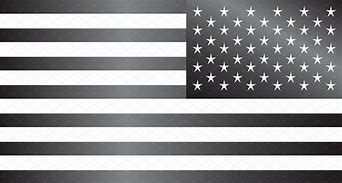 Image result for Black American Flag Jpg