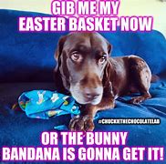 Image result for Funny Bunnies Meme