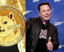 Image result for Saint Elon Musk with Doge