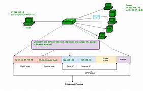 Image result for Example of Mac Address On Network Interface Card