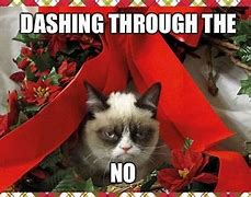 Image result for Grumpy Cat Meme