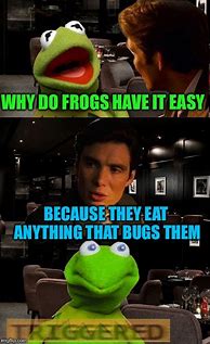 Image result for Eat the Bugs Meme