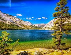 Image result for California Nature