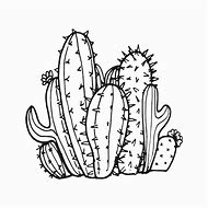 Image result for Cactus Outline SVG