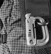 Image result for D-Ring Aluminum Carabiner