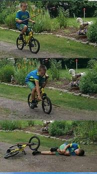 Image result for Stick in Bicycle Wheel Meme