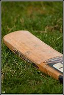 Image result for Cricket Bat No Background