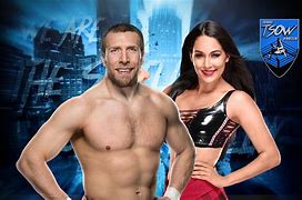 Image result for WWE Brie Bella Pregnant