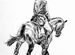 Image result for Reining Horse Drawing