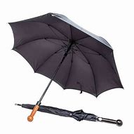 Image result for Self-Defense Umbrella