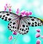 Image result for Butterfly Colorful Bubble Background