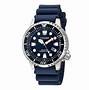 Image result for Scuba Diving Watches