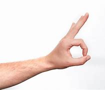 Image result for OK Hand Signal