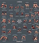 Image result for Top Ten Martial Arts