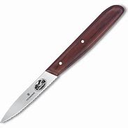 Image result for Wood Handle Serrated Edge Different Colors Paring Knives