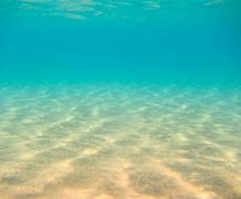 Image result for Sea Bed