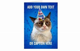 Image result for Grumpy Cat Wishing Happy Birthday