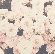 Image result for Tumblr Facebook Cover Photos