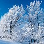 Image result for High Resolution Winter Screensavers