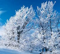 Image result for Free Winter Screensavers