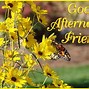 Image result for Afternoon Special