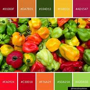 Image result for Peppers with Rainbow Color