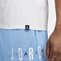 Image result for Air Jordans Blue Shorts
