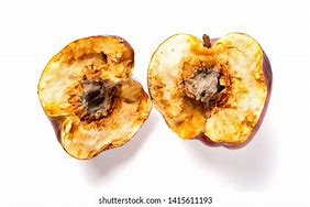 Image result for Rotten Apple Core