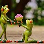 Image result for Really Cute Frogs