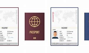 Image result for Passport Design Template