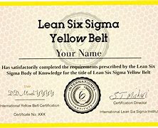 Image result for Lean Six Sigma Yellow Belt