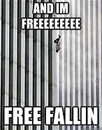 Image result for Free Falling Meme