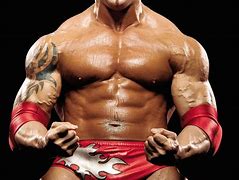 Image result for WWE World Wrestling Entertainment