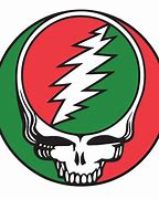 Image result for Grateful Dead Logo.png