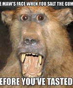 Image result for Taxidermy Cat Meme