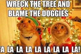 Image result for Merry Christmas Eve Funny Cats