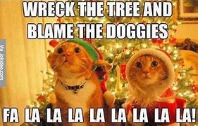 Image result for Christmas Cat Meme PFP