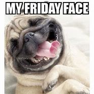 Image result for TGIF Friday Funny Meme