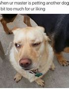 Image result for Resevation Dogs Memes