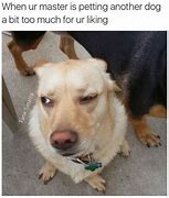 Image result for Boyfriend Dog Memes