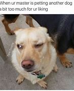 Image result for Petting Dog Meme