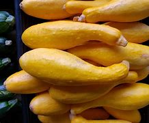 Image result for Round Squash Fruit Pictures