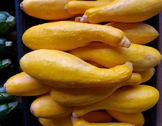 Image result for Yellow Winter Squash Varieties