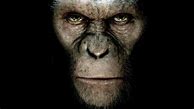 Image result for Planet of the Apes Soap2day