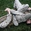 Image result for Ground Fighting