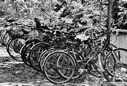 Image result for Cycle Icon Black and White
