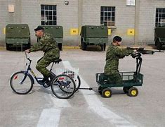 Image result for Canadian Army Guns